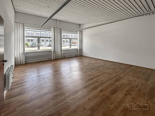 Lagerhalle zur Miete 290 m² Lagerfläche Stadtgebiet Renchen 77871