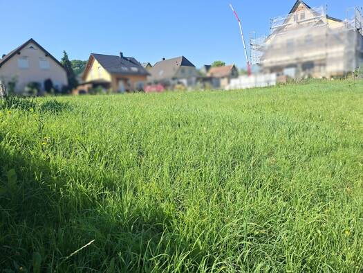 Grundstück zum Kauf 79.000 € 642 m² Grundstück frei ab sofort Talstraße Kurort Berggießhübel Bad Gottleuba-Berggießhübel 01819