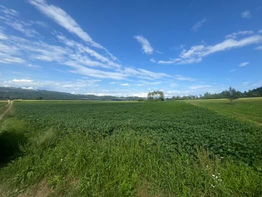 Landwirtschaftliche Fläche zum Kauf 7 € 86.733 m² Feistritz im Rosental