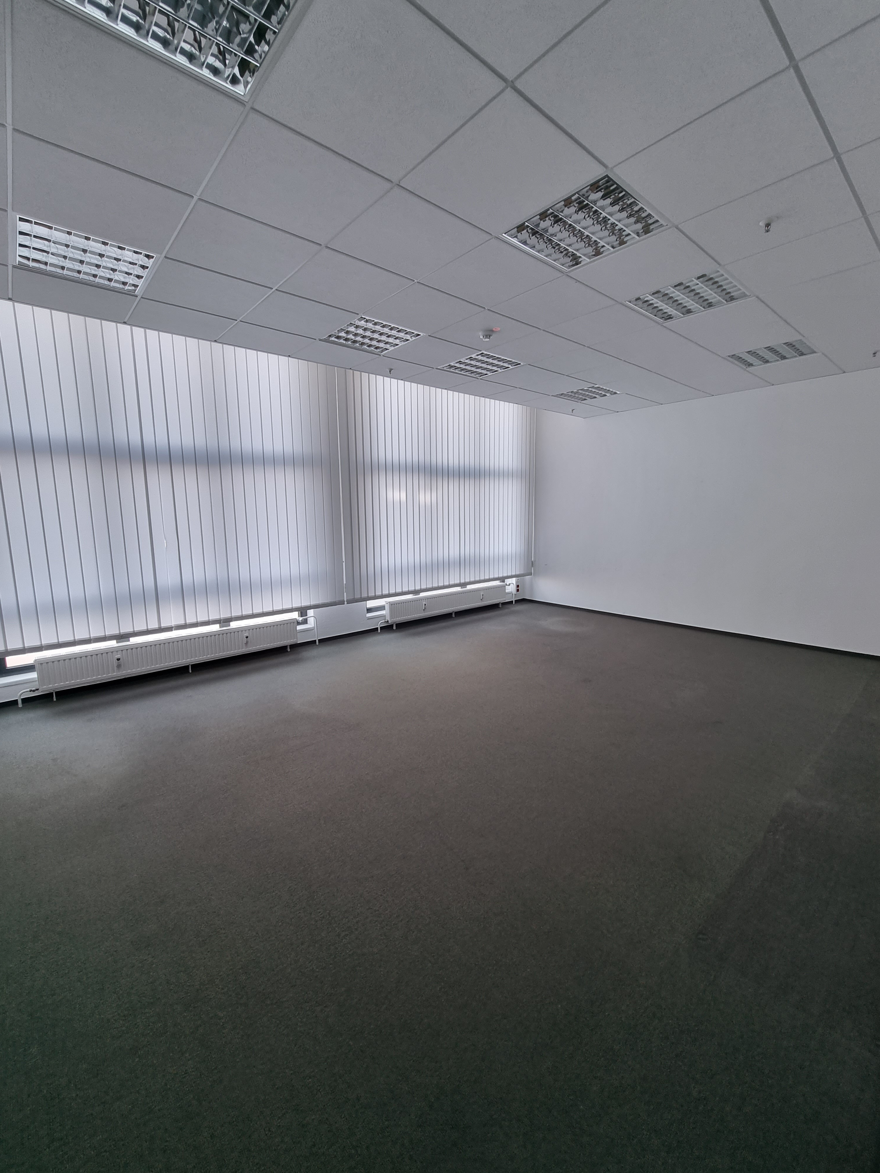 Bürokomplex zur Miete 1.800 m²<br/>Bürofläche Vetschauer Str. 11 Spremberger Vorstadt Cottbus 03048