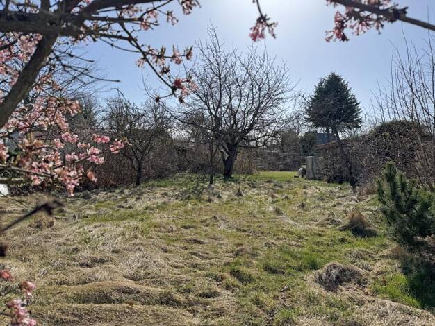 Grundstück zum Kauf 495.000 € 802 m² Grundstück Wustrow 18347