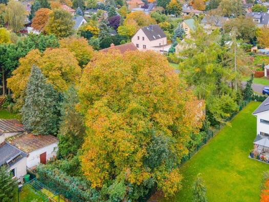 Grundstück zum Kauf 247.500 € 435 m² Grundstück Kaulsdorf Berlin 12621