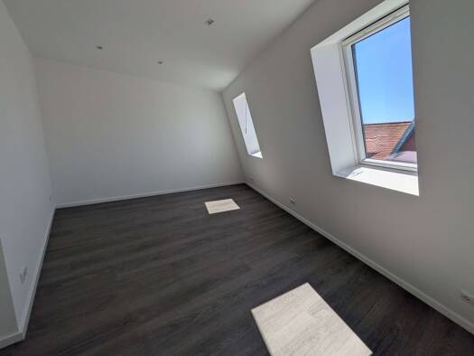 Wohnung zur Miete 1.850 € 5 Zimmer 151 m² Geschoss EG/1 frei ab sofort Oleariusstraße 6 B Altstadt Halle (Saale) 06108