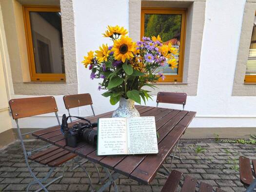 Haus zum Kauf 295.000 € 8 Zimmer 290 m² 1.000 m² Grundstück frei ab sofort Rathen 01824