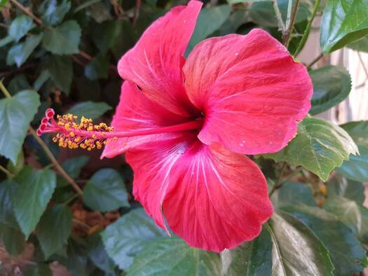 Haus zum Kauf provisionsfrei als Kapitalanlage geeignet 500.000 € 3,5 Zimmer 85 m² 110 m² Grundstück Dachau 85221