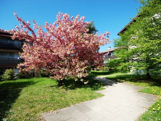 Wohnung zum Kauf provisionsfrei 490.000 € 3 Zimmer 98,6 m² 1. Geschoss Demmeljochstraße 8 Bad Tölz Bad Tölz 83646