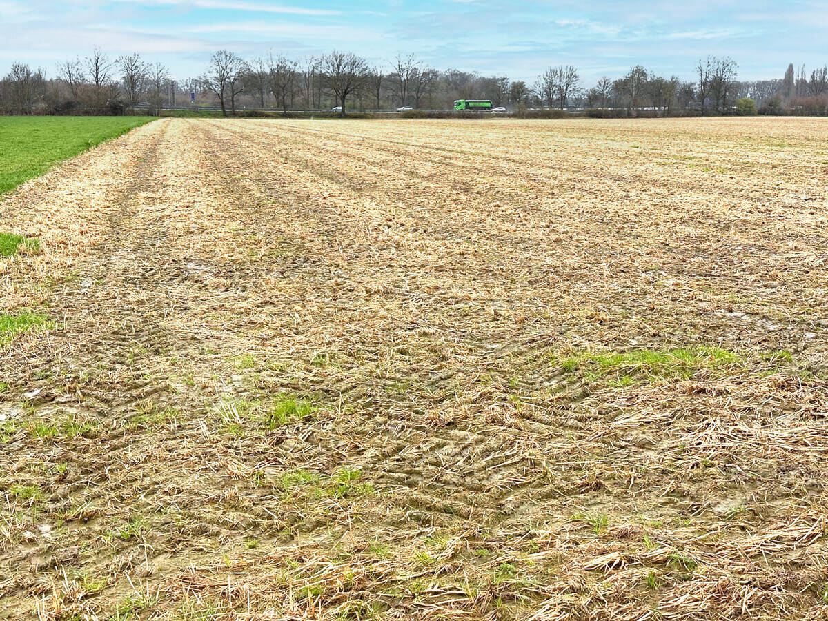 Landwirtschaftliche Fläche zum Kauf - Ansicht 3