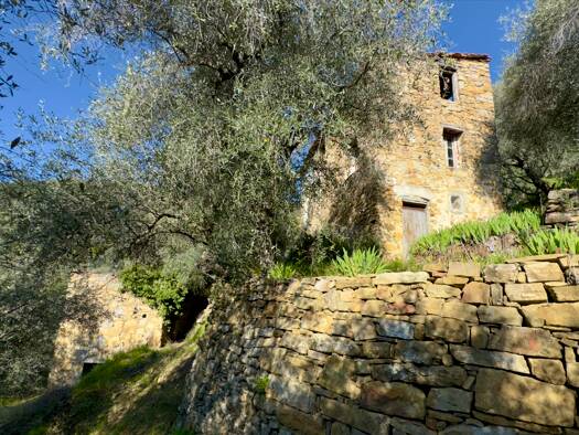 Rustico zum Kauf 230.000 € 8 Zimmer 195 m² 10.565 m² Grundstück frei ab sofort Dolceacqua 18035