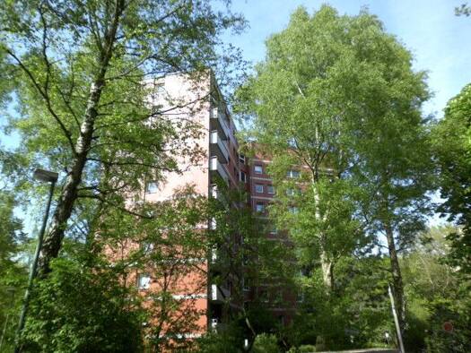 Wohnung zur Miete 440 € 1 Zimmer 30,2 m² 1. Geschoss frei ab 01.11.2026 Autal 20 Wedel 22880