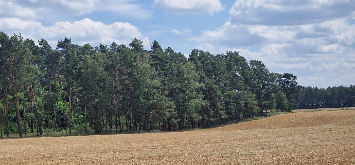 Land-/Forstwirtschaft zum Kauf - Ansicht 3