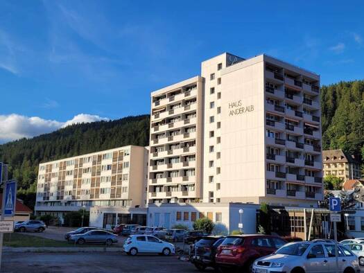 Wohnung zum Kauf provisionsfrei 45.000 € 1 Zimmer 29,5 m² 2. Geschoss Todtmooser Straße 2 St Blasien St. Blasien 79837