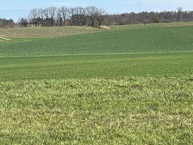 Grundstück zum Kauf 195.000 € 320 m² Grundstück Michelbach Alzenau , Unterfr 63755