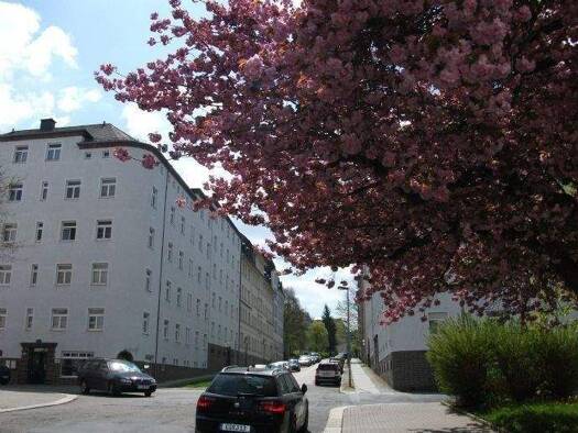 Wohnung zur Miete 350 € 2 Zimmer 63,9 m² Fichtestraße 16 b Lutherviertel Lutherviertel 09126