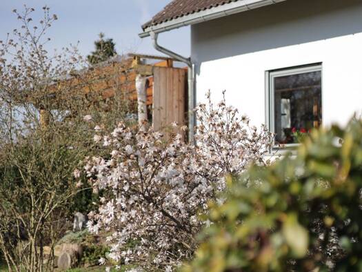 Einfamilienhaus zum Kauf 515.000 € 5 Zimmer 150 m² 1.780 m² Grundstück Höckendorf Laußnitz 01936