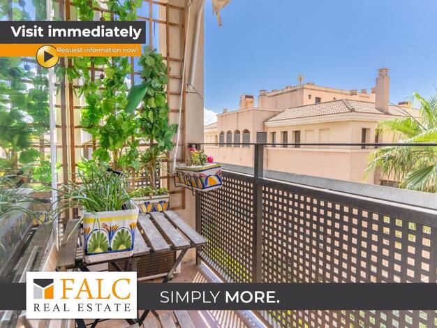 Wohnung zum Kauf provisionsfrei 650.000 € 4 Zimmer 110 m² Palma 07006