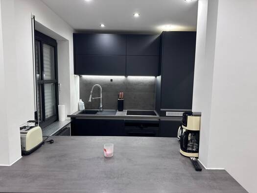 Terrassenwohnung zur Miete 1.350 € 1 Zimmer 40 m² München 80992