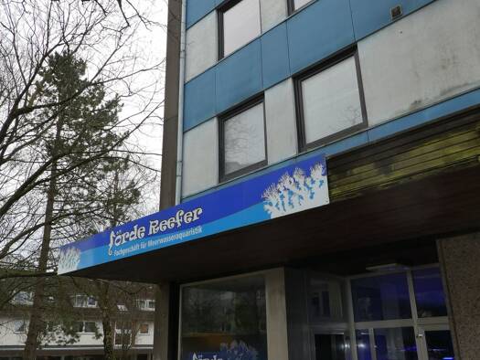 Ladenfläche zur Miete 545 € 68,4 m² Verkaufsfläche Mozartstraße 33 Engelsby Flensburg 24943