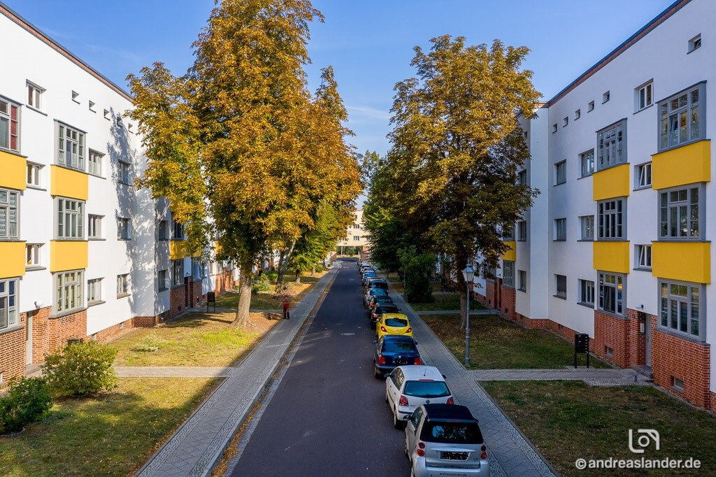 Wohnung zur Miete 443 € 3 Zimmer 59 m²<br/>Wohnfläche 1.<br/>Geschoss 15.01.2025<br/>Verfügbarkeit Bauhausstraße 11 Dessauer Straße Magdeburg 39114