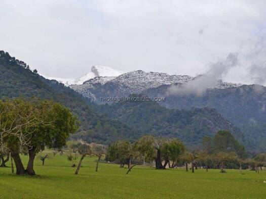 Grundstück zum Kauf 1.050.000 € 41.417 m² Grundstück Campanet 07310