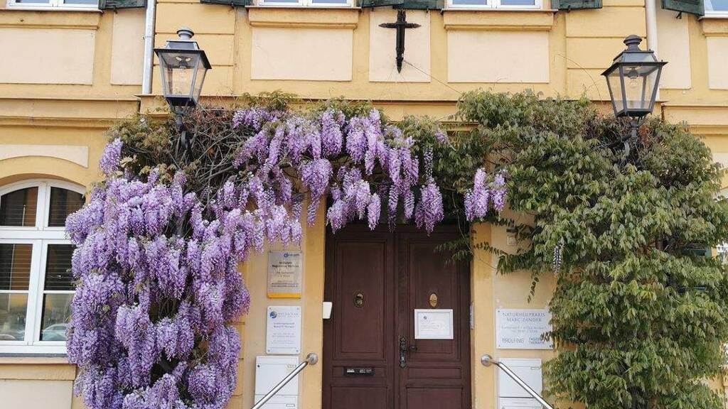 Praxis zur Miete provisionsfrei 900 € 1 Zimmer 112,6 m² Bürofläche Karlsplatz 1 Ansbach 91522