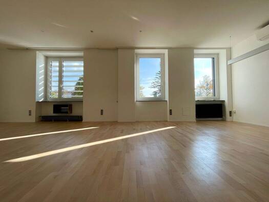 Büro zur Miete 1.520 € 98,8 m² Bürofläche Mödling 2340