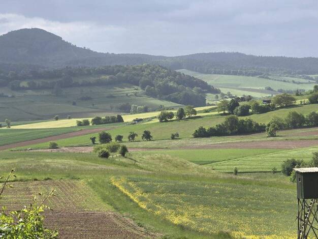 Bauernhaus zum Kauf 299.000 € 8 Zimmer 168 m² 5.193 m² Grundstück Niedergude Alheim 36211