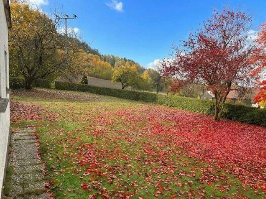 Einfamilienhaus zum Kauf 89.000 € 4 Zimmer 115 m² 1.178 m² Grundstück Hannesried Tiefenbach 93464