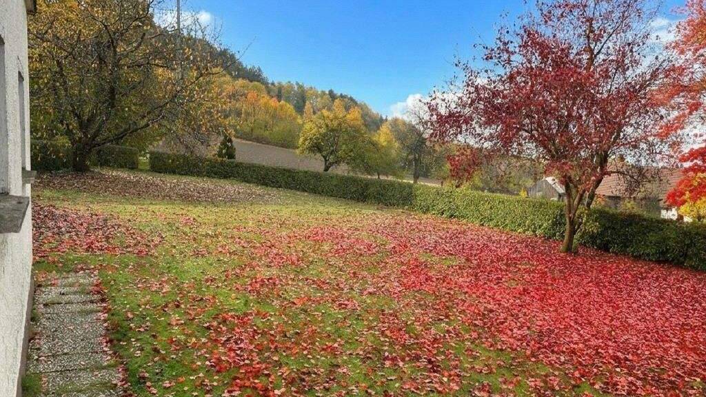 Einfamilienhaus zum Kauf 89.000 € 4 Zimmer 115 m² 1.178 m² Grundstück Hannesried Tiefenbach 93464