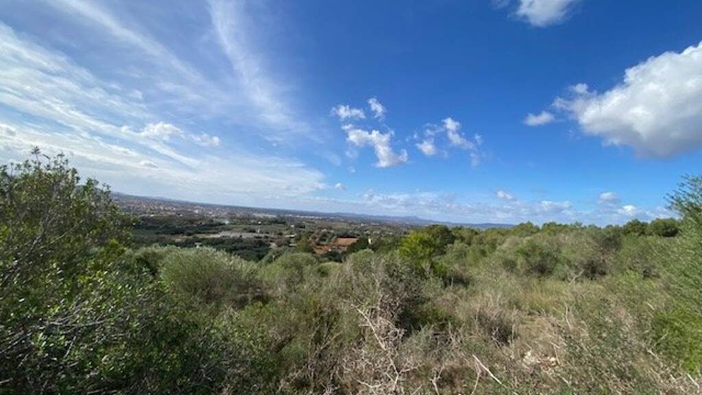 Haus zum Kauf 185.000 € 3 Zimmer 1.994 m² Grundstück Manacor