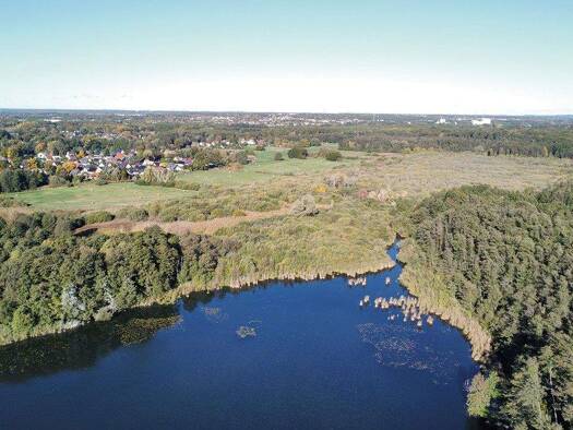 Land-/Forstwirtschaft zum Kauf 11.200 € 7.720 m² Grundstück Zeesen Königs Wusterhausen 15712