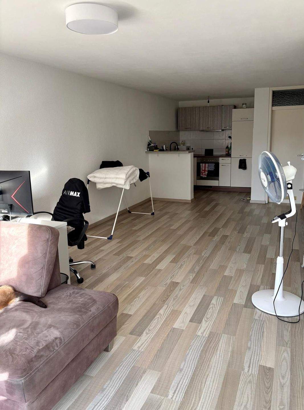 Immobilie in Gundelfingen - Moderne 1,5-Zimmer-Wohnung mit Terrasse in Gundelfingen - Bild 2