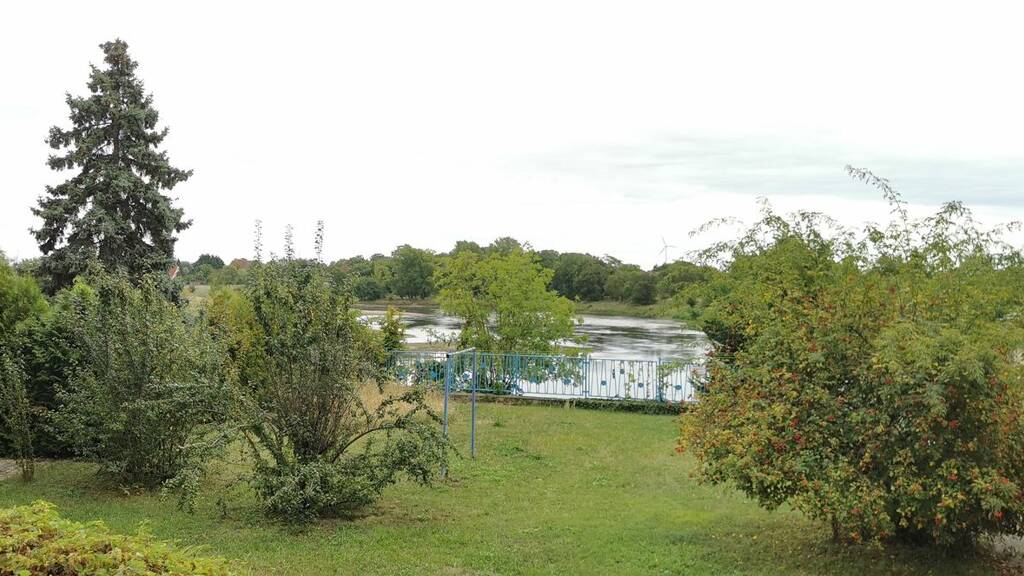 Wohnung zur Miete 285 € 2 Zimmer 40,7 m² EG frei ab sofort Bernburger Str. 92 Calbe Calbe (Saale) 39240