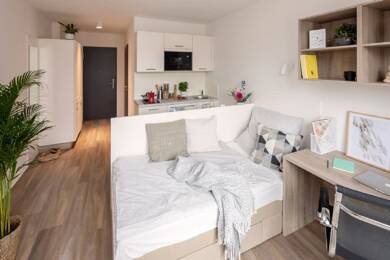 Studio zur Miete - Erstbezug nur mit Wohnberechtigungsschein 296 € 1 Zimmer 21 m² frei ab sofort Habsburger Straße 132-134 Neuburg Freiburg im Breisgau 79104