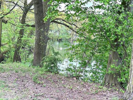 Einfamilienhaus zum Kauf 575.000 € 6 Zimmer 150 m² 2.885 m² Grundstück Altenbach Bennewitz 04828