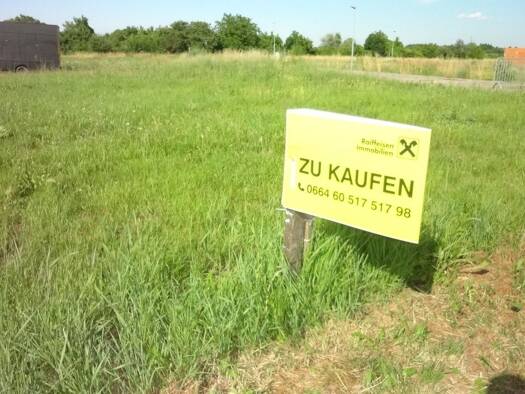 Grundstück zum Kauf 175.000 € 668 m² Grundstück Purbach am Neusiedler See 7083