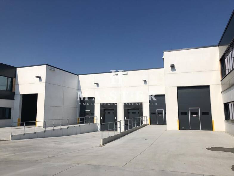 Lagerhalle zur Miete provisionsfrei 4.000 m² Lagerfläche teilbar ab 1.000 m² Großsachsenheim Sachsenheim 74343