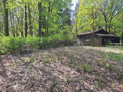 Grundstück zum Kauf 250.000 € 1.309 m² Grundstück Baugenehmigung vorhanden frei ab sofort Petershagen Petershagen/Eggersdorf 15370