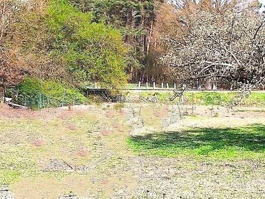 Grundstück zum Kauf 58.000 € 837 m² Grundstück Steinbeck/Luhe Bispingen 29646