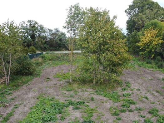 Grundstück zum Kauf 240.000 € 3.022 m² Grundstück Magdeburger Straße 23 Alt Königsborn Königsborn 39175