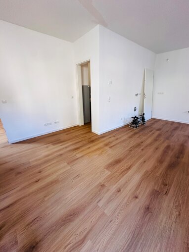 Studio zur Miete 460 € 2 Zimmer 49 m² EG frei ab sofort Marktplatz 14 Kobern Kobern-Gondorf 56330