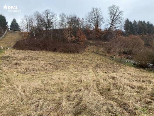 Grundstück zum Kauf 69.000 € 2.139 m² Grundstück Pöllau 8224
