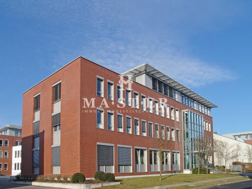 Bürofläche zur Miete 378 m²<br/>Bürofläche ab 378 m²<br/>Teilbarkeit Mörfelden Mörfelden-Walldorf 64546