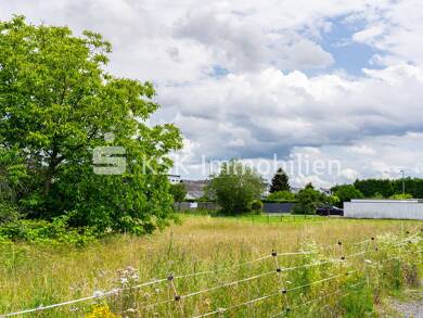 Grundstück zum Kauf 399.000 € 557 m² Grundstück Alfter 53347