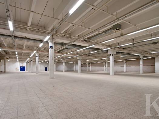 Lagerhalle zur Miete 1.950 € 700 m² Lagerfläche Ensdorf 66806