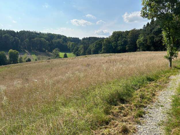 Land-/Forstwirtschaft zum Kauf 14.750 m² Grundstück Lengthal Moosthenning 84164