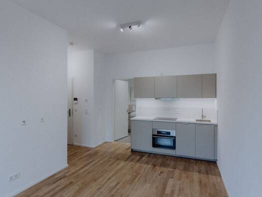 Wohnung zur Miete 700 € 1,5 Zimmer 33 m² Geschoss EG/6 frei ab 01.11.2026 Ostendstraße 161 Mögeldorf Östliche Außenstadt 90482