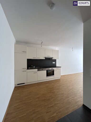 Wohnung zur Miete 540 € 2 Zimmer 44,3 m² 1. Geschoss Niesenbergergasse Gries Graz 8020