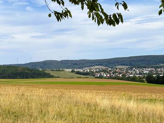 Grundstück zum Kauf 989 m² Grundstück Hörlbach Ellingen 91792