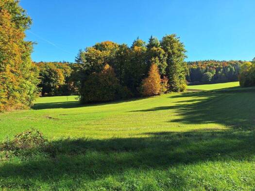 Land-/Forstwirtschaft zum Kauf 25.000 € 25 m² 4.231 m² Grundstück Loch Königstein 92281