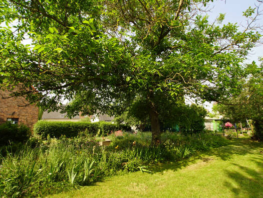 Grundstück zum Kauf 139.500 € 775 m² Grundstück Straße des Friedens 15 Hohenweiden Schkopau-Hohenweiden 06258